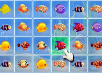 Fishing Puzzles