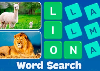 Word Search - Fun Puzzle Games